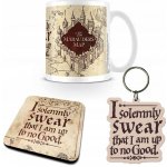 Pyramid International Harry Potter Marauders Map kamenina 315 ml – Hledejceny.cz