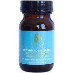 Healing Nature Aktivní dlouhověkost Guduchi Bylinné kapsle 60 kapslí – Hledejceny.cz