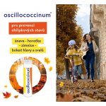 OSCILLOCOCCINUM POR 1G GRA MDC 6X1G – Hledejceny.cz