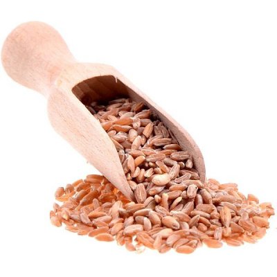 Aso Zdravý život Pšenice dvouzrnka Bio 1kg – Zboží Dáma
