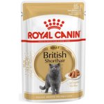 Royal Canin British Shorthair Adult 85 g – Hledejceny.cz