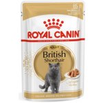 Royal Canin British Shorthair Adult 85 g – Zboží Mobilmania