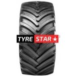 BKT Agrimax RT 600 650/75-32 172A8 TL – Hledejceny.cz