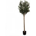 Dekorace umělý stromek olivovník s olivami Olea Tree 15*170 cm Chic Antique – Hledejceny.cz