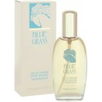 Elizabeth Arden Blue Grass parfémovaná voda dámská 100 ml – Hledejceny.cz