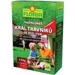 Agro Floria TS Král trávníků 0,5 kg – Hledejceny.cz