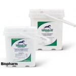 Farnam Duralactin Equine Pellets 1,7 kg – Hledejceny.cz