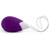 FeelzToys Anna Vibrating Egg Remote DS78300148