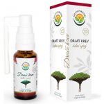 Salvia Paradise Dračí krev ústní sprej 20 ml 12 ks – Zboží Dáma