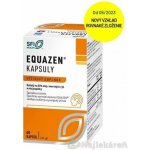 Equazen Omega 3 + Omega 6 60 kapslí – Hledejceny.cz