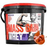 Megabol Whey Mass Gain 3000 g – Zboží Dáma