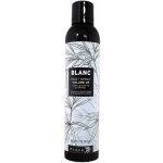Black Blanc Volume Up Root Spray 300 ml – Hledejceny.cz