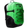 Turistický batoh The North Face Borealis Classic 29l chlorophyll green/TNF black