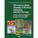 Obrazový atlas chorob a škůdců zeleniny střední Evropy - Jaroslav Rod – Hledejceny.cz