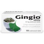 GINGIO POR 40MG TBL FLM 100 – Hledejceny.cz