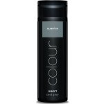 Subrina Direct Colour Grey 200 ml – Zboží Dáma