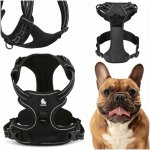 Truelove Postroj pro psa Front Line Premium – Sleviste.cz