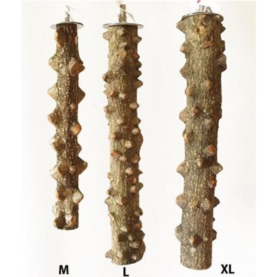 Terra bidýlko z pepřovníku 2,5 - 3 x 25 cm – Sleviste.cz