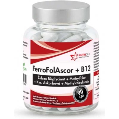 Nutricius FerroFolAscor + B12 90 kapslí – Hledejceny.cz