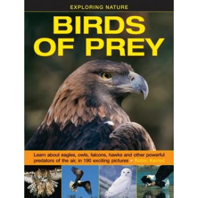 Exploring Nature:Birds Of Prey