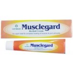 Link Natural bylinná ajurvedská mast na unavené svaly a klouby 25 ml – Zboží Mobilmania