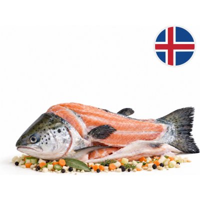 Boxxi Islandský losos skelet na polévku mražený 700 g – Sleviste.cz
