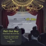 Fall Out Boy - From Under The Cork Tree CD – Hledejceny.cz