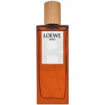 Loewe Solo toaletní voda pánská 50 ml – Hledejceny.cz
