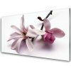Obraz akrylový obraz Květ Rostlina Příroda 100x50 cm