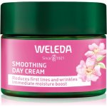 Weleda Divoká růže a bílý čaj rozjasňující noční krém 40 ml – Zboží Dáma