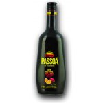 Passoã 17% 0,7 l (holá láhev) – Zboží Dáma