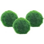 Aegagropila linnaei 3 ks – Zboží Mobilmania