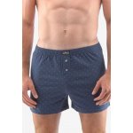 Gina pánské trenky volné šité s potiskem 75184P pomnenková bílá – Zbozi.Blesk.cz