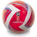 Fifa World Cup