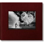 Salgado Sebastiao - Sebastio Salgado. Kuwait. A Desert on Fire Collectors Edition – Hledejceny.cz