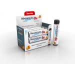 Magnesium Chelate+B6 orange ampule 10 x 25 ml – Hledejceny.cz