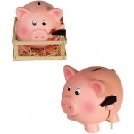 Pokladnička prasátko XXL v ohrádce – Zboží Dáma
