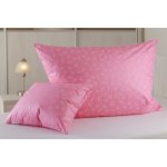 JAN peří Polštář peří - ručně drané husí peří 20/80 peříčko 70x90 – Zboží Mobilmania