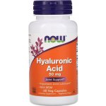 Now Foods Foods Hyaluronová kyselina s MSM 50 mg 60 rostlinných kapslí – Hledejceny.cz