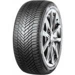 Nexen N'Blue 4Season 2 205/55 R16 94H – Hledejceny.cz