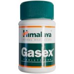 Himalaya Gasex 100 tablet – Hledejceny.cz