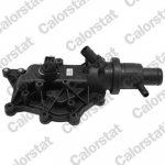 Termostat, chladivo CALORSTAT BY VERNET TH7158.89J