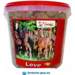 Energys Love Pamlsky jablečné srdíčka 2 kg – Zboží Dáma