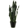 Květina Sansevieria v květináči zelená V51 cm