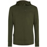 merino mikina s kapucí ICEBREAKER Mens 260 Quantum IV LS Zip Hoodie Loden – Zboží Dáma