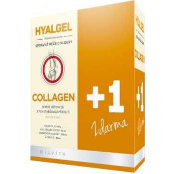 Silvita Hyalgel Collagen balení 2 x 500 ml