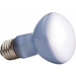 Hagen Exo Terra Sun Glo Neodymium 50 W – Hledejceny.cz