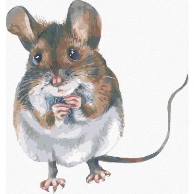 Malování podle čísel Hnědá myška