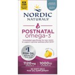 Nordic Naturals Postnatální Omega 3 60 softgel kapslí – Hledejceny.cz