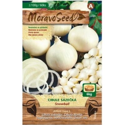 Bílá cibule sazečka Snowball, MoravoSeed, 100 g – Zboží Mobilmania